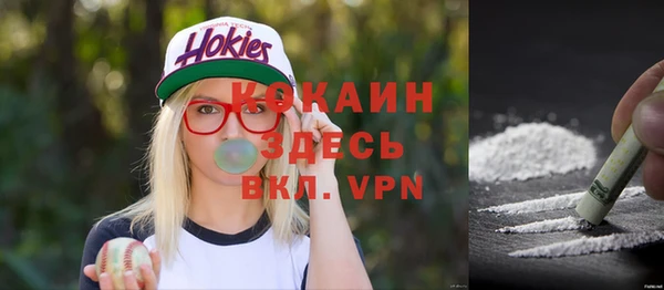 крисы Арсеньев