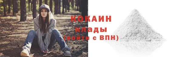 ПСИЛОЦИБИНОВЫЕ ГРИБЫ Аркадак