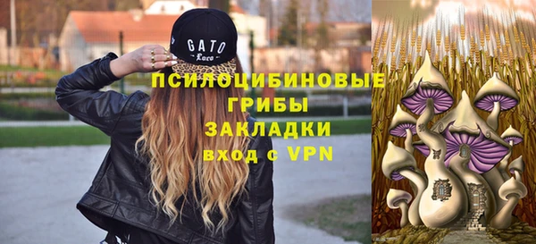 дживик Армянск