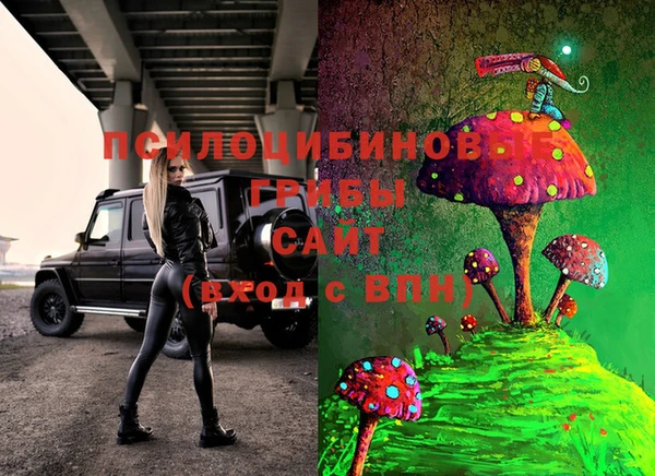 гашик Осинники