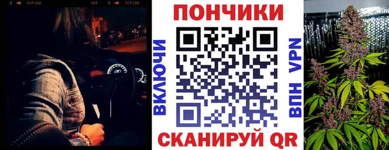 Шишки марихуана план  как найти закладки  Урус-Мартан 